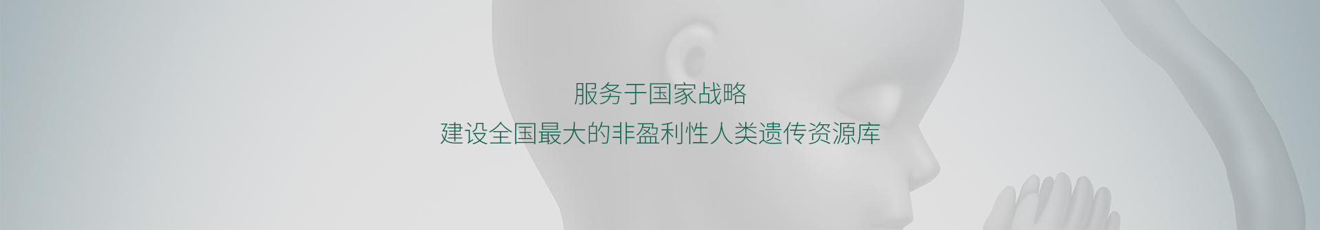 architecture_banner